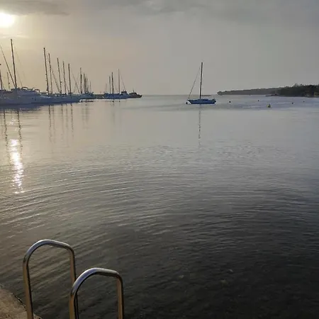 Cervar Porat *